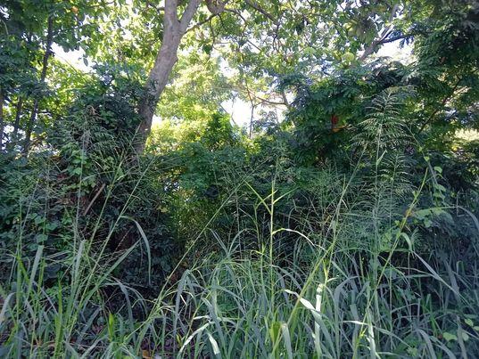 SE VENDE TERRENO EN EL BARRIO SAN JACINTO S.S. en Rosario de Mora - Imagen 7
