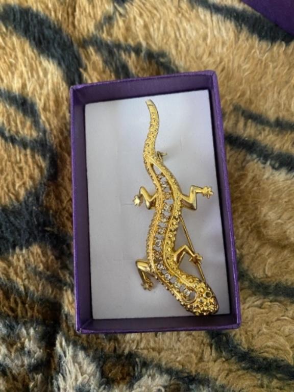 Beautiful Gecko in Springvale - Image 1