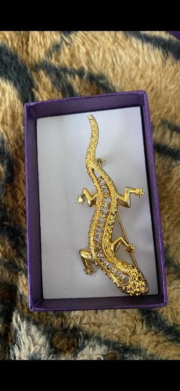 Beautiful Gecko in Springvale - Image 2