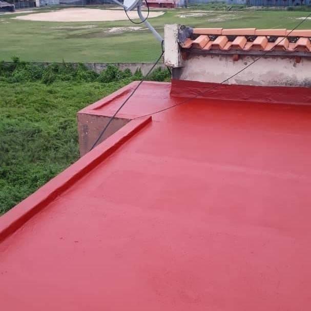 TECHOS Y CUBIERTAS en Palo Negro - Imagen 5