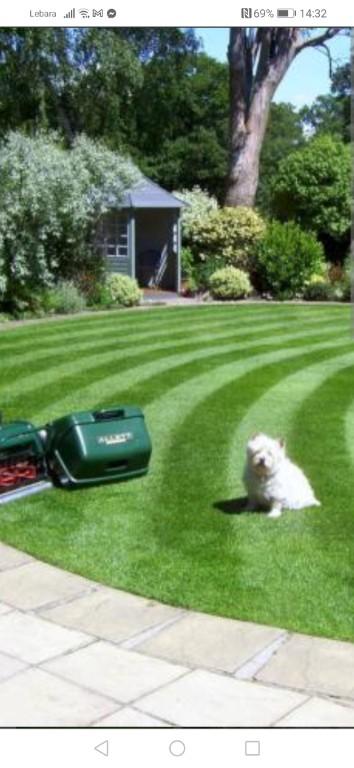 Greener Gardining services in Northolt - Image 1