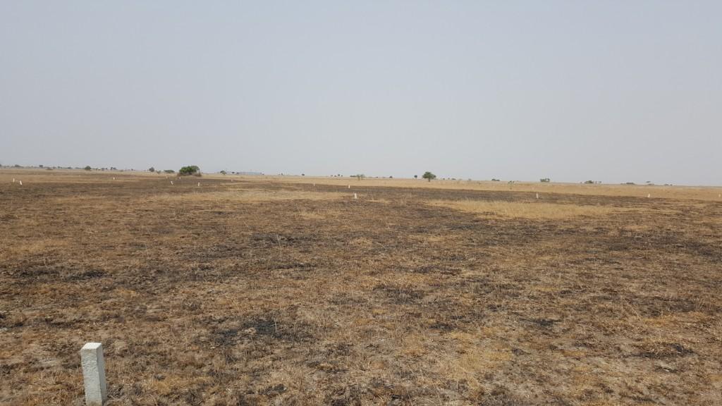 AFFORDABLE AND LITIGATION FREE LAND FOR SALE in Tema - Image 1