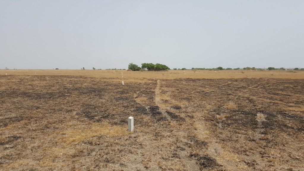 AFFORDABLE AND LITIGATION FREE LAND FOR SALE in Tema - Image 2