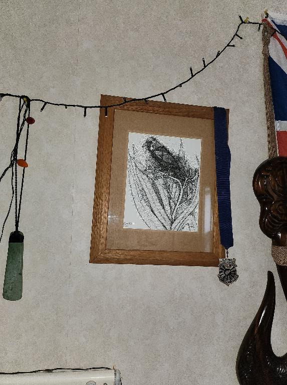 Nz tui drawing. in Waitakere - Image 1