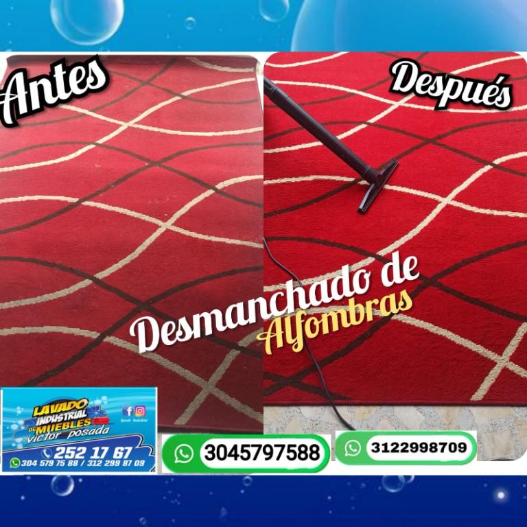 limpieza de alfombras en Medellín - Imagen 1