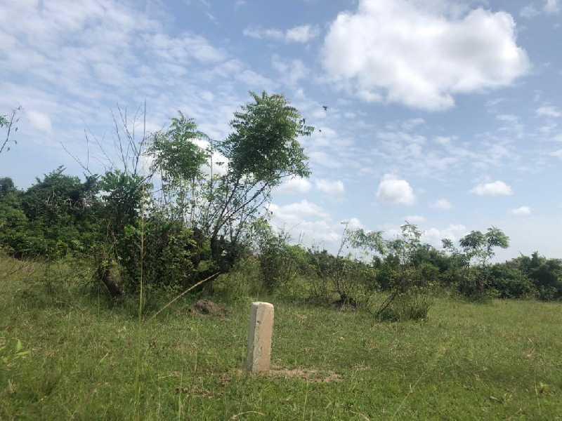 REGISTERED LANDS AT AFIENYA. COMES WITH BARCODE DOC. in Tema - Image 1