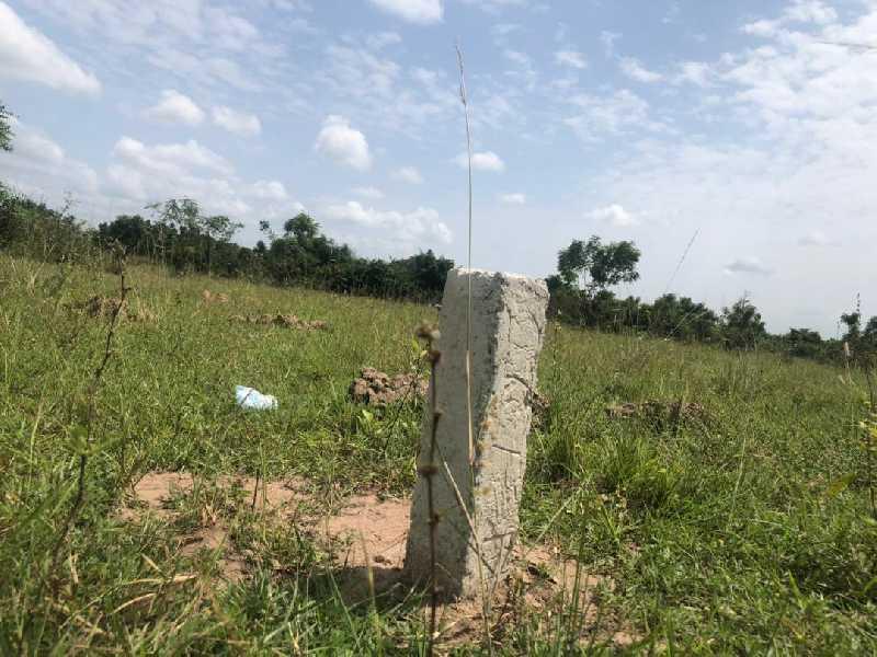 REGISTERED LANDS AT AFIENYA. COMES WITH BARCODE DOC. in Tema - Image 2