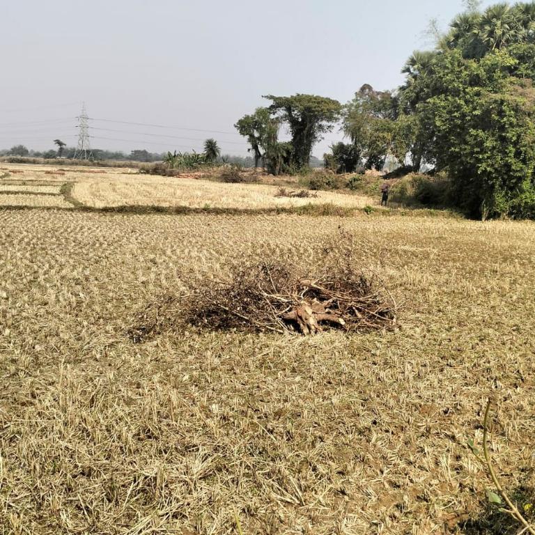 RESIDENTIAL PLOT AVAILABLE FOR SALE AT CUTTACK in Cuttack - Image 5