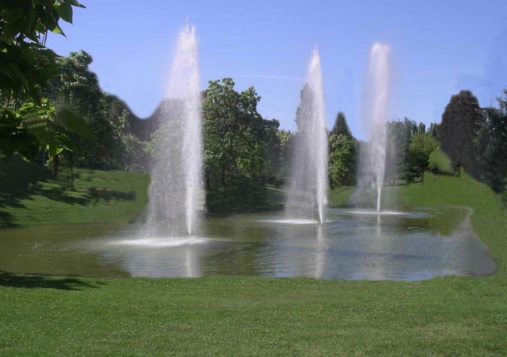 FUENTES DECORATIVAS COLOMBIA en Colombia - Imagen 3