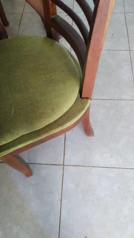 SILLAS CON ASIENTO BASTIDOR GIRATORIO EXCLUSIVO en Cali - Imagen 2