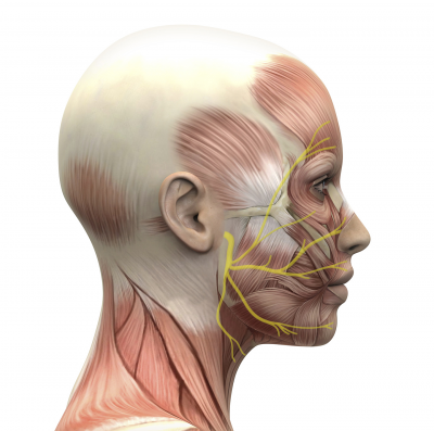 PARALISIS FACIAL -TRATAMIENTO en San Miguel de Pallaques - Imagen 2