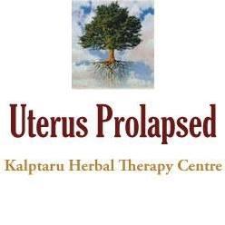 Best Uterus Prolapse Treatment in Vikāsnagar - Image 1
