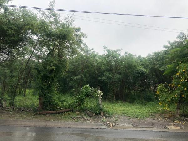 TERRENO RESIDENCIAL EN VENTA BARRIO MATAMOROS MONTEMORELOS en Tepeaca - Imagen 1