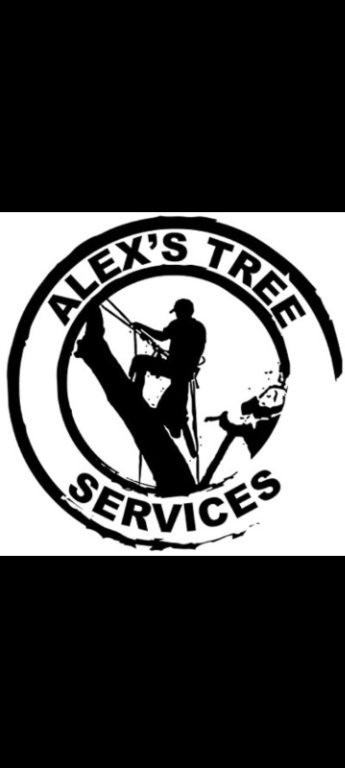 Tree removal specialists in Randburg - Image 1