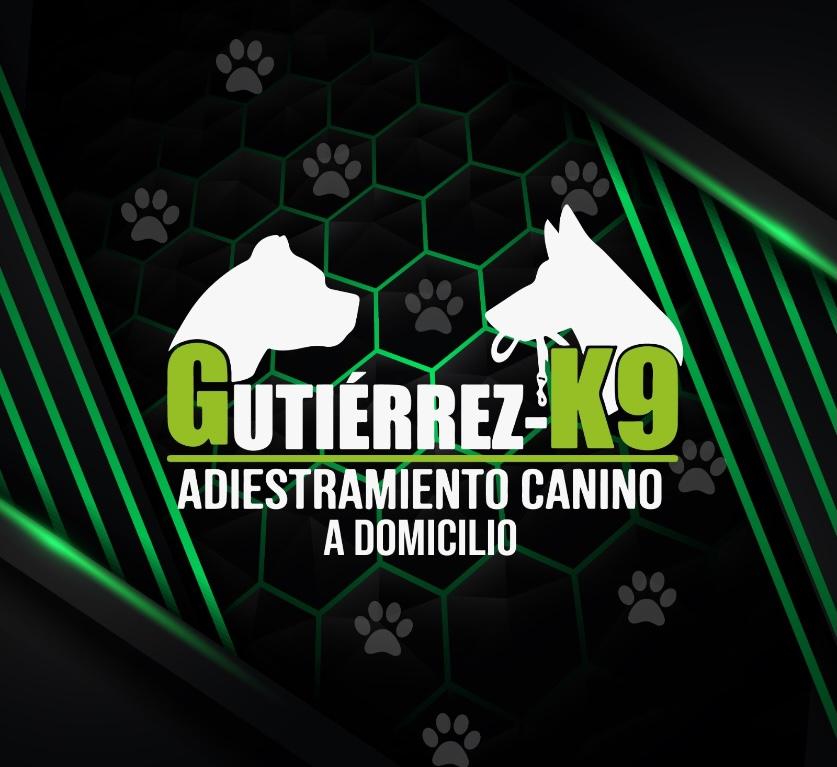 ADIESTRAMIENTO CANINO A DOMICILIO CDMX en Azcapotzalco - Imagen 2