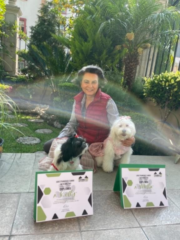 ADIESTRAMIENTO CANINO A DOMICILIO CDMX en Azcapotzalco - Imagen 4