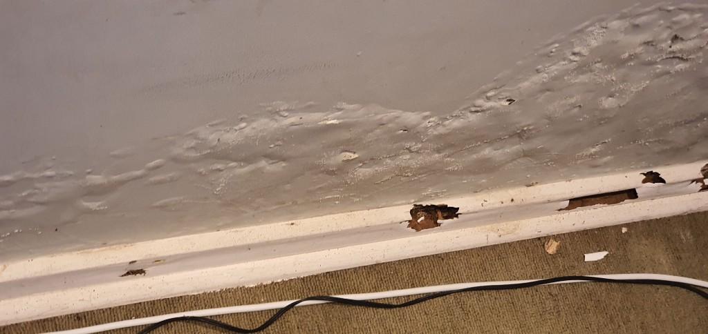 Classic Installations - Rising Damp Repair in Randburg - Image 2