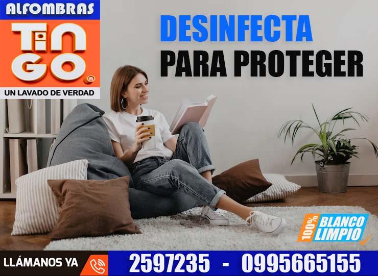 LAVADO PROFESIONAL DE ALFOMBRAS - SERVICIO A DOMICILIO GRATIS en Quito - Imagen 3