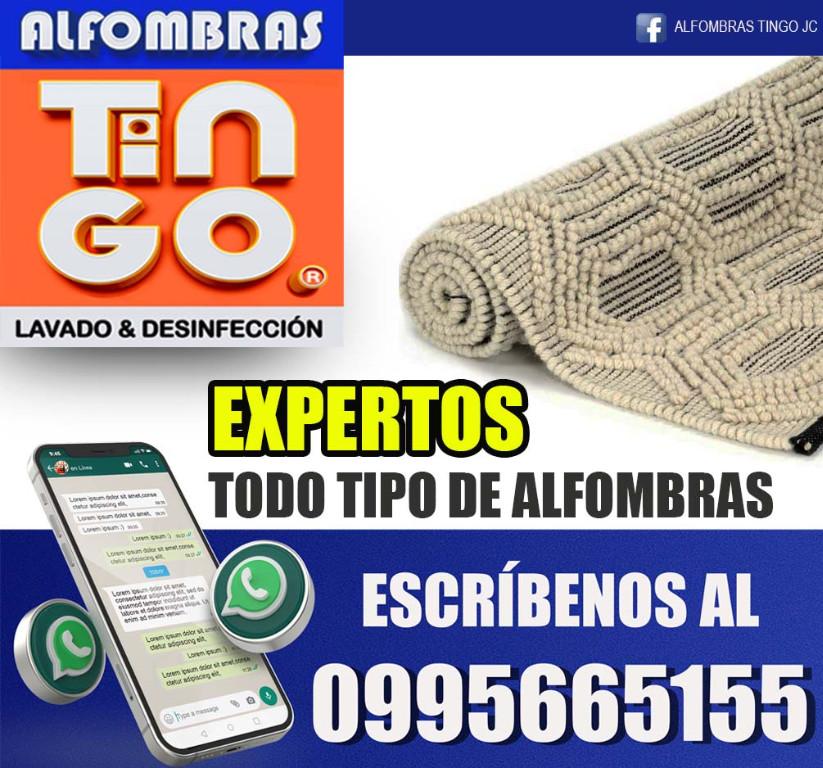 LAVADO PROFESIONAL DE ALFOMBRAS - SERVICIO A DOMICILIO GRATIS en Quito - Imagen 5