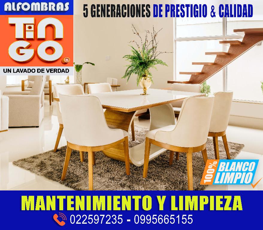LAVADO PROFESIONAL DE ALFOMBRAS - SERVICIO A DOMICILIO GRATIS en Quito - Imagen 8