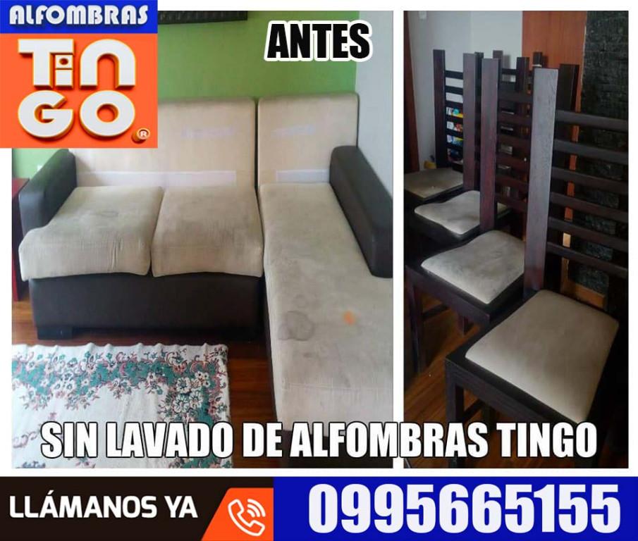 LAVADO PROFESIONAL DE ALFOMBRAS - SERVICIO A DOMICILIO GRATIS en Quito - Imagen 18