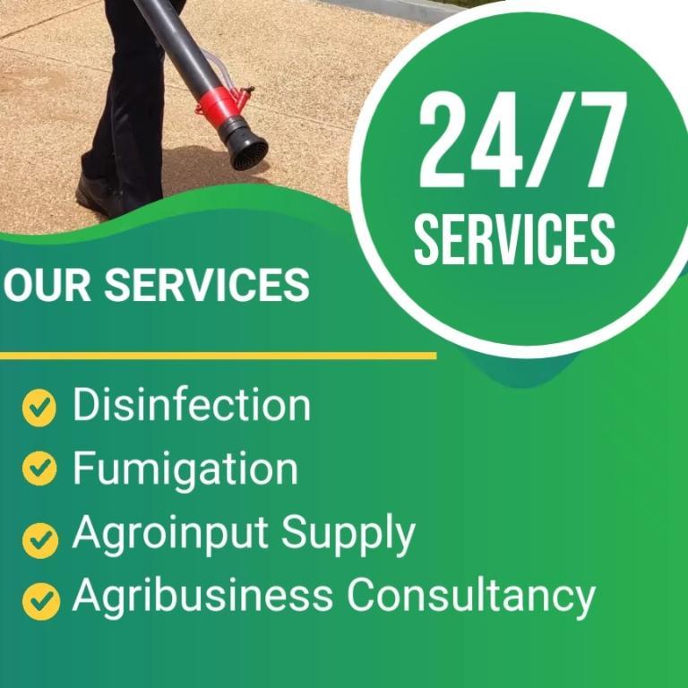 Pest Control Service in Accra - Image 2