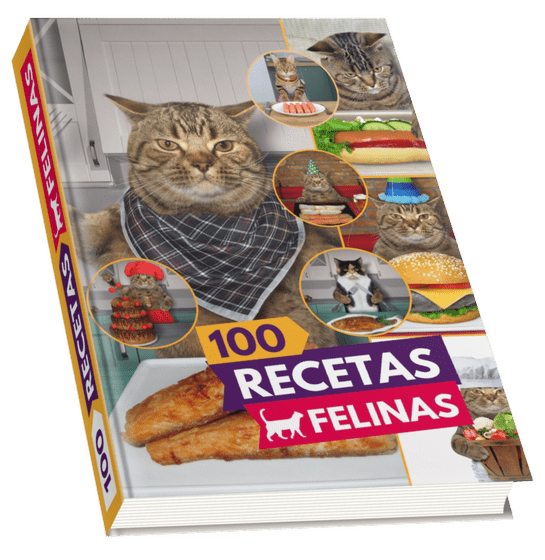 Recetas Felinas en La Florida - Imagen 5