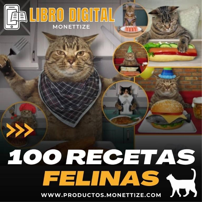 Recetas Felinas en La Florida - Imagen 7