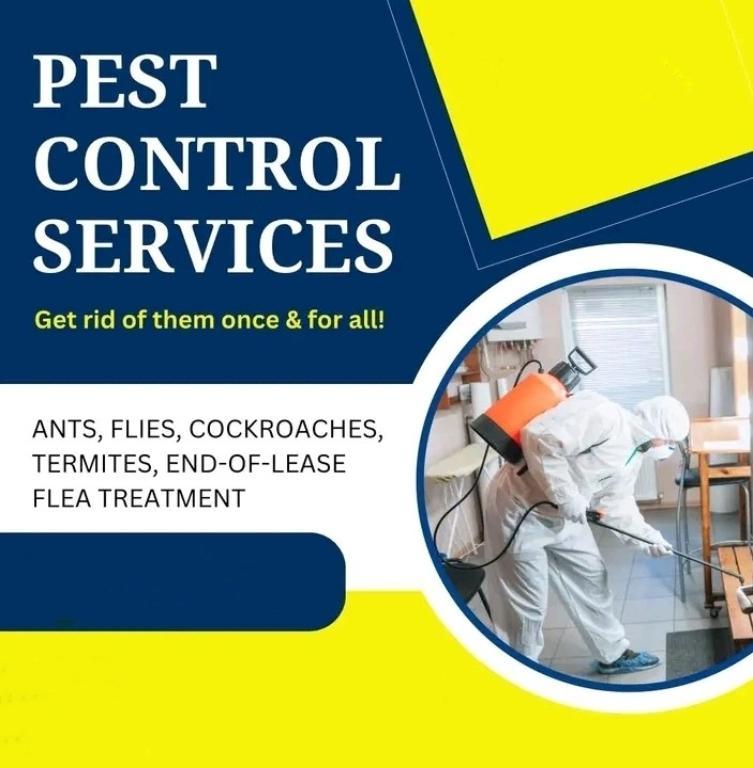 Pest control services in Kochi - Image 3