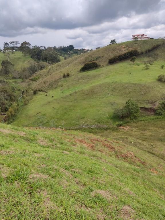 LOTE EN VENTA RIONEGRO ANTIOQUIA en Santuario - Imagen 2