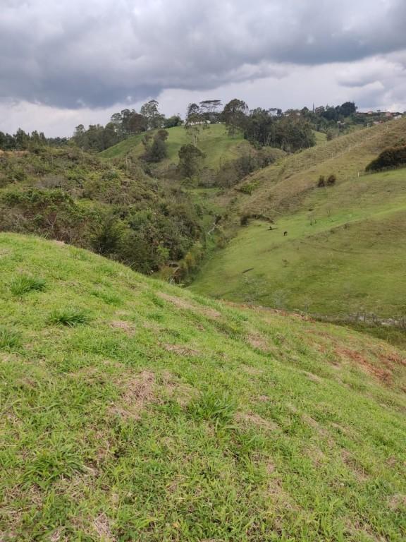 LOTE EN VENTA RIONEGRO ANTIOQUIA en Santuario - Imagen 5