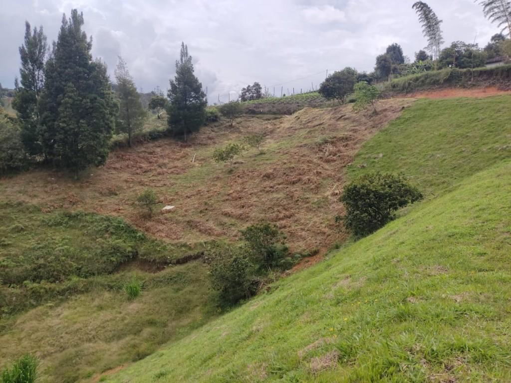 LOTE EN VENTA RIONEGRO ANTIOQUIA en Santuario - Imagen 6