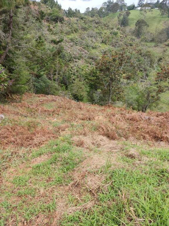 LOTE EN VENTA RIONEGRO ANTIOQUIA en Santuario - Imagen 10