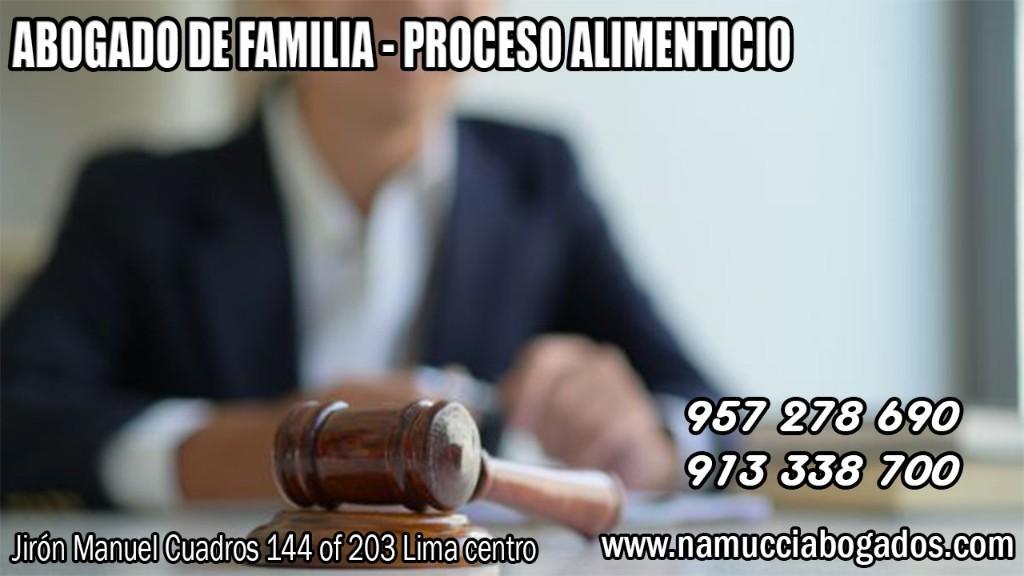 ABOGADO DE FAMILIA Y VIOLENCIA FAMILIAR en Lima - Imagen 6