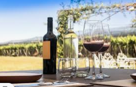 Driver for Napa Wine Tasting in San Francisco - Image 1