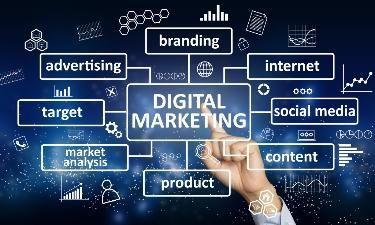 Best Website Designing In Rewa in Allahabad - Image 3