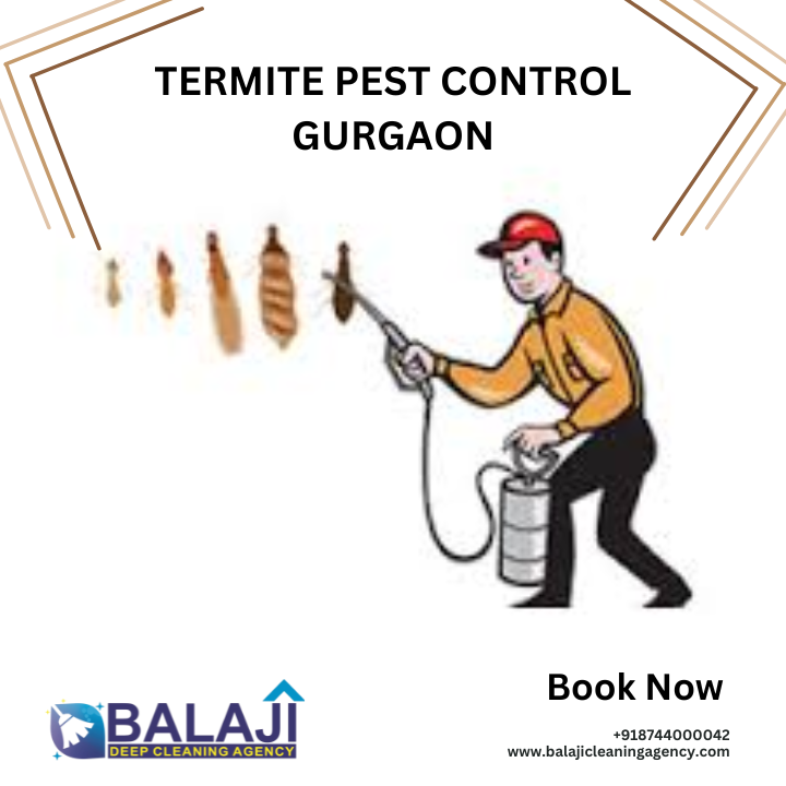 Termite Pest Control Gurgaon in Gurgaon - Image 1