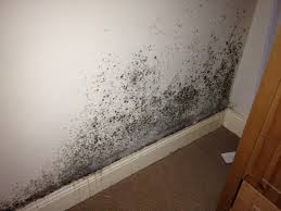 RISING DAMP & ASSOCIATED PLASTERING. in Surbiton - Image 3