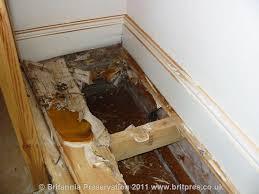 RISING DAMP & ASSOCIATED PLASTERING. in Surbiton - Image 5