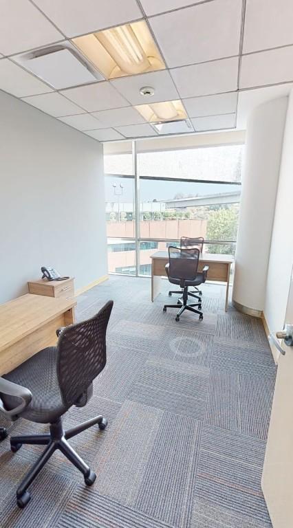 OFICINAS CORPORATIVAS EN RENTA en Casas Alemán - Imagen 7