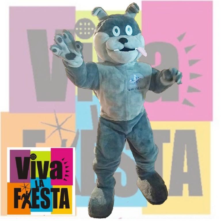BOTARGAS PARA ESCUELAS en Puebla - Imagen 10