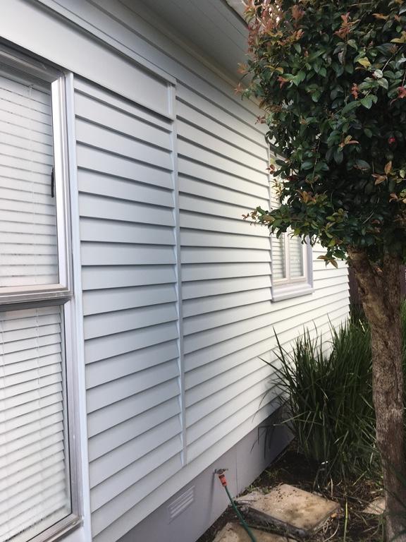 Quality painter in Auckland - Image 1