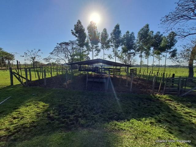 PROPIEDAD RURAL EN VENTA 10 HAS 167 en Acahay - Imagen 4