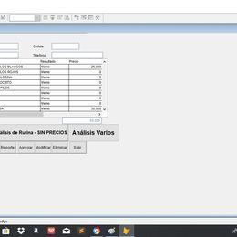 SISTEMA INFORMATICO PARA LABORATORIOS DE ANALISIS CLINICOS en Asunción - Imagen 10