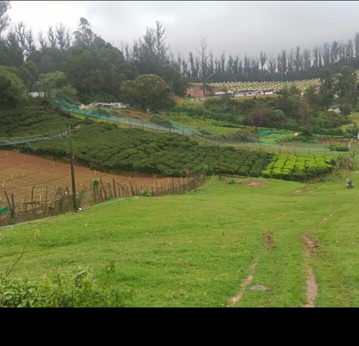 Ooty properties in Udagamandalām - Image 2