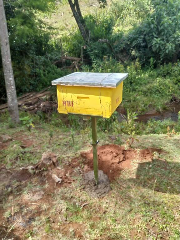 langstroth beehive in Ruiru - Image 2