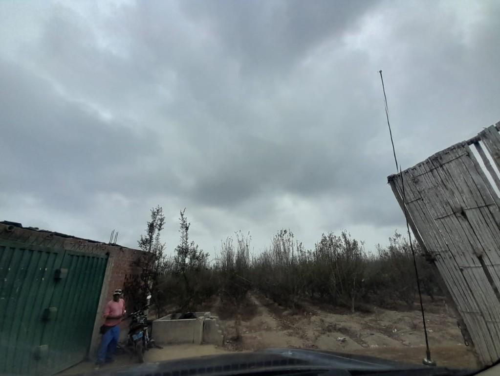 SE VENDE TERRENO DE 5 HAS. SECTOR LAS PALMAS - CHINCHA BAJA en Chincha Alta - Imagen 3