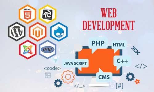 Professional Website Development Services In Delhi in Bareilly - Image 1