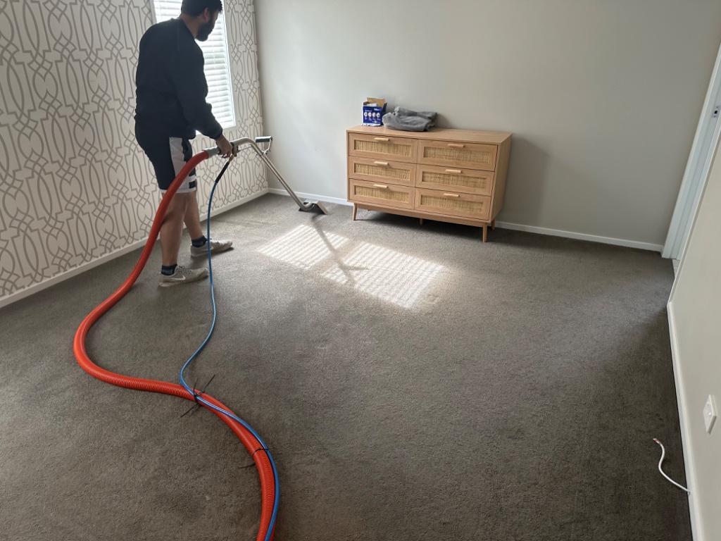 Carpet cleaning in Auckland - Image 7