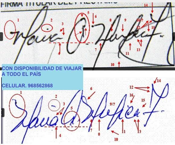 PERITO GRAFOTÉCNICO DACTILOSCOPICO CRIMINALISTICO en Jaén - Imagen 1